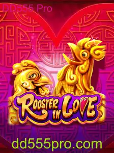 Explorando o Mundo de RoosterInLove e DD555 Pro